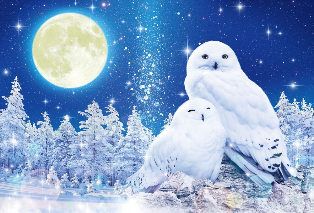 BEVERLY Jigsaw Puzzle 91-129 Glows In The Dark Wilfar Lucky White Owl 1000 Pieces