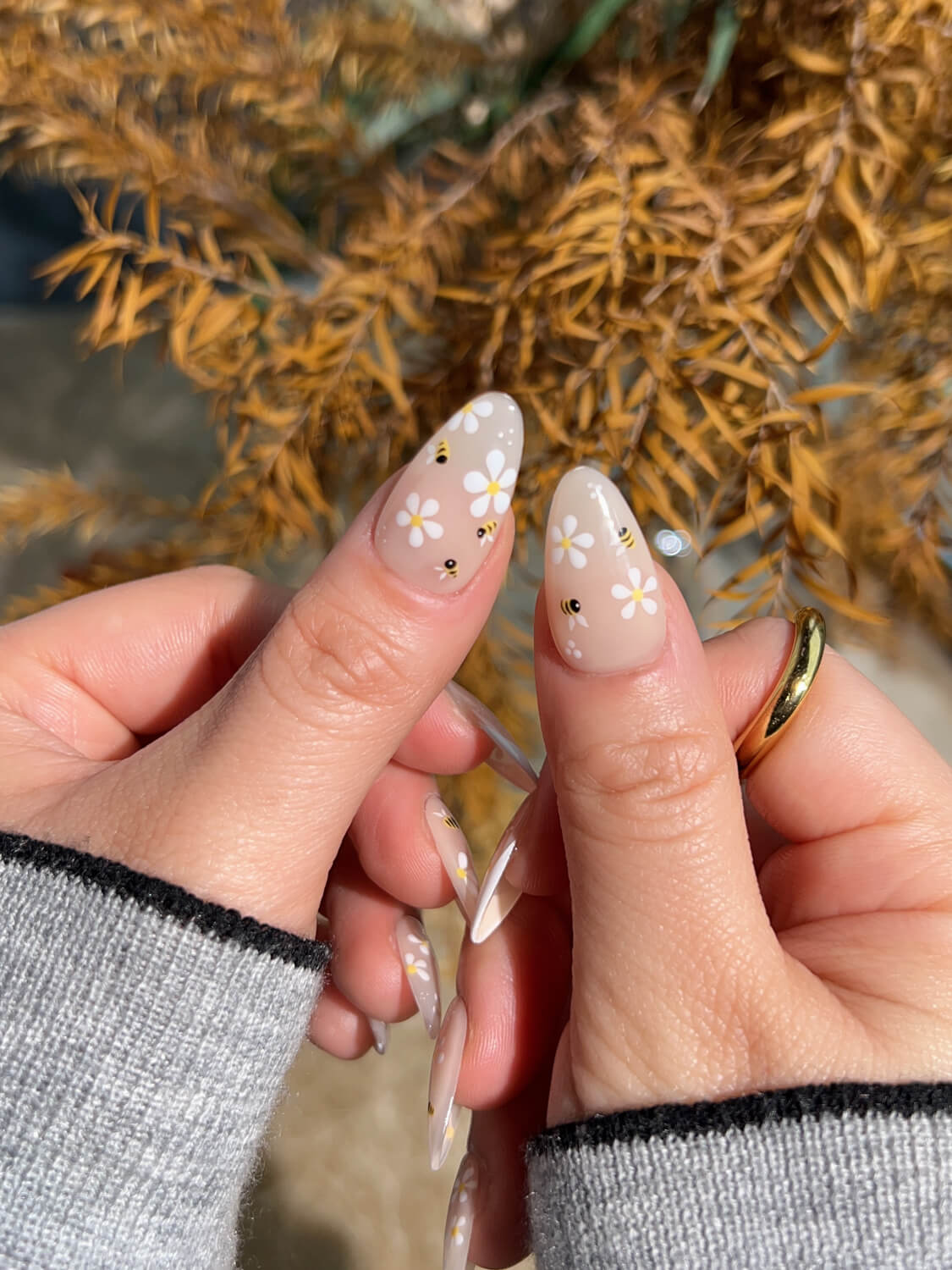 BeeBeeBuzz -Stella G (Co-Creator) 🏅